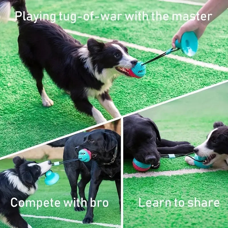 Dog Toys for Aggressive Chewers